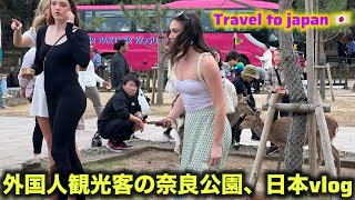 観光客ると、鹿の優雅な行列が彼らの後を  nara deer  japan prefectures  japan beautiful places vlog  cozy japan vlog [upl. by Odlauso]