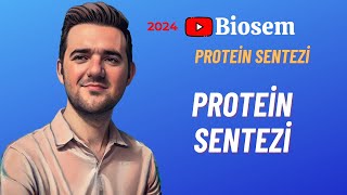 Protein Sentezi  Genden Proteine  Konu Anlatımı 12 Sınıf Biyoloji YKS 2024 [upl. by Notsa]