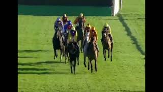 Horse Racing Death 206  Ballydague Lady at Southwell Racecourse [upl. by Ahsaek]