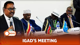 IGAD’S MEETING [upl. by Gurango]