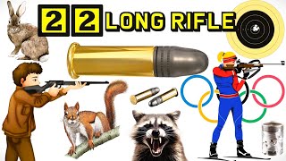 22 LONG RIFLE History and Relevance [upl. by Gates]