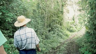 Viver no Brasil falando Hunsrückisch Documentário [upl. by Omari988]