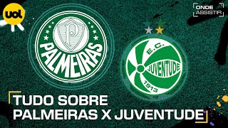 PALMEIRAS X JUVENTUDE ONDE ASSISTIR AO VIVO HORÃRIO E ESCALAÃ‡Ã•ES PELO BRASILEIRÃƒO [upl. by Miksen]