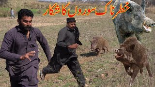 Dogs Save Cameramen from Wild Boar Attack  quotClose Encounnter Wild Boar Charges Camera Manquot in 4k [upl. by Gillian83]