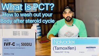 What is PCT Post cycle therapy explained in easy way  urduhindi pct postcycletherapy [upl. by Airamesor958]