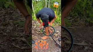 কালাচ সাপ থেকে বাঁচার টোটকা জেনে রাখুন  Remedy for Krait Bite snakevideo snakesaverbrothers [upl. by Valenta857]