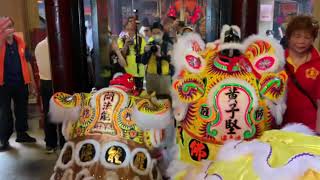 香港譚公誕2023  十多醒獅齊拜譚公、入廟出廟全過程。More than 10 Lions celebrating bowing and entering Tam Kung temple [upl. by Meehan]