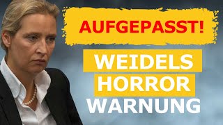 AUFGEPASST Das ist Alice Weidel´s HORROR WARNUNG [upl. by Anaiq360]