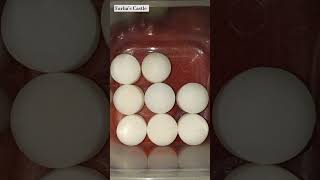 Mothballs 😍🤍 satisfying mothballs oddlysatisfying [upl. by Lallage]