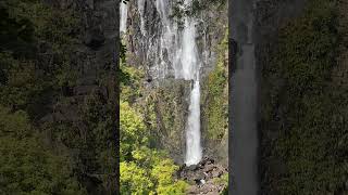 Bay of Plenty  Wairere Falls waterfall [upl. by Haianeb]