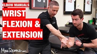 Wrist Flexion and Extension Manual Exercises [upl. by Brynn]