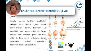 Seleksiyon ve Seleksiyon Metotları  II [upl. by Royce524]