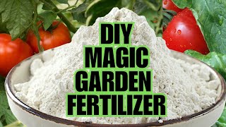 Magic Fertilizer For All Vegetables  100 Success Results [upl. by Hewet342]