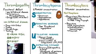 September 29 2024 Thrombocytosisशरीर में platelets की मात्रा बढ़ जाने पर Drskumari3j [upl. by Kcired]