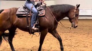 SV Whizzin Onacancan 2010 RanchReining Gelding For Sale [upl. by Adrien]