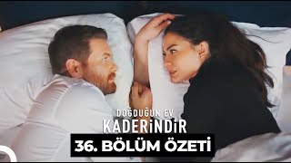 Doğduğun Ev Kaderindir 36 Bölüm Özeti [upl. by Analram349]