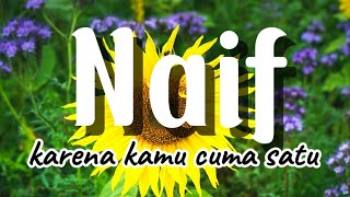 Naif  karena kamu cuma satu Lirik [upl. by Cornia]