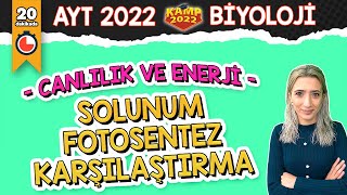 Solunum  Fotosentez Karşılaştırma  AYT Biyoloji Kamp2022 [upl. by Wernher238]