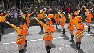 Happy Halloween Kyoto Tachibana SHS Band  MARCHING CARNIVAL IN BEPPU 2023 SCENE1（Oct 29 2023） [upl. by Ot718]