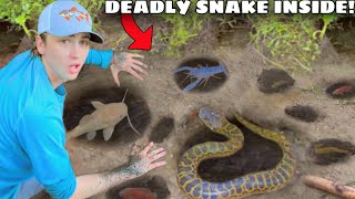 I Found a Mud Hole INFESTED with Deadly Snakes [upl. by Hayyim]