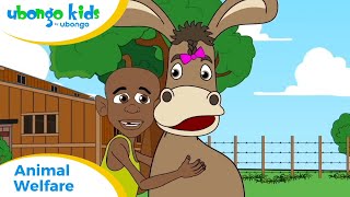 EPISODE 50 Animal Welfare  Ubongo Kids  African Educational Cartoons [upl. by Eeryk399]