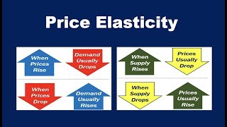 What is Price Elasticity [upl. by Lissner571]