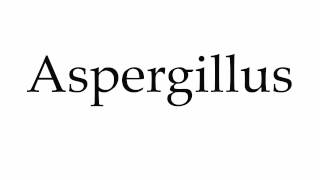 How to Pronounce Aspergillus [upl. by Aihpos]