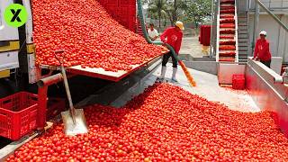 How They PRODUCE TONS of Jam EVERY DAY 🍓  HOW IT IS MADE [upl. by Cahra]