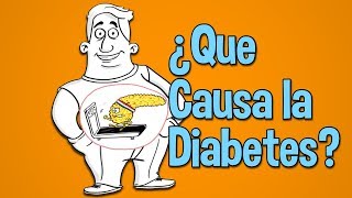 Qué causa la diabetes azúcar en la sangre la diabetes tipo 2 [upl. by Annenn313]