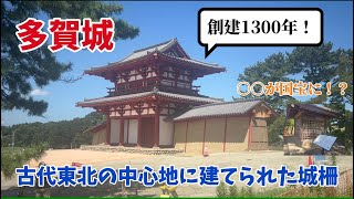 【多賀城】創建1300年を迎える東北の古代城柵 [upl. by Miner563]