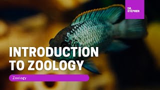 Zoology 🦚 I Introduction to Zoology [upl. by Hacker546]