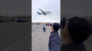 Airbus Beluga 🤩 aviation planespotting airbusbeluga [upl. by Diamond]