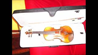 Qual Violino comprar  Violin Alegro Tagima T2500 44 Itabuna  Bahia [upl. by Ennairrek505]