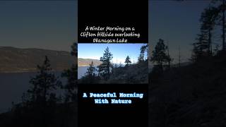 A Winter Morning on a Clifton Hillside overlooking Okanagan Lake [upl. by Kathryne1]