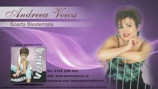 Andreea Voica  Soarta Blestemata audio [upl. by Kirred]