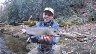 Fly Fishing the upper Nantahala river [upl. by Etteyafal]