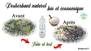 Desherbant naturel maison bio écolo et économique au vinaigre tuto et test astuce jardin facile [upl. by Aydan]