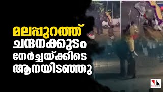 മലപ്പുറത്ത് ചന്ദനക്കുടം നേര്‍ച്ചയ്ക്കിടെ ആനയിടഞ്ഞുthejasnews [upl. by Shaya]