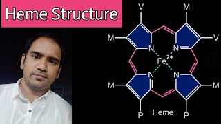 Heme  Structure  Porphyrin  types of porphyrins  bond between oxygen and iron [upl. by Fabron]