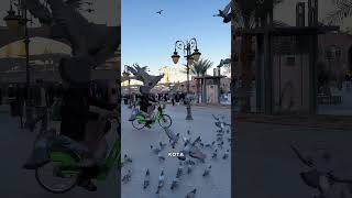 CAREEM BIKE MADINAH [upl. by Anirok]