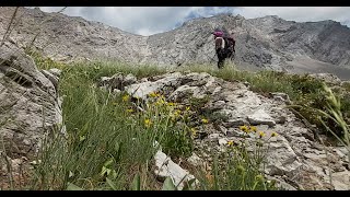 Mt Darrah SW1  East Kootenay Region  Castle Wildland Prov Park  BC  Alberta Canada [upl. by Ys]