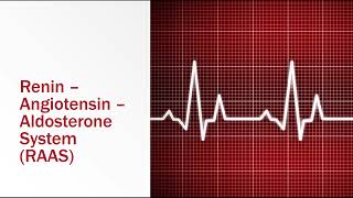 ReninAngiotensinAldosterone System [upl. by Ahsemak]