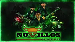 Novillos De La Sierra 2024  Grandes Exitos  Puros Corridos Mix [upl. by Elvira]