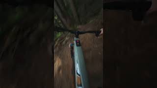 Lauscht dem Beat Of Speed Mit dem santacruzbicycles2841 Vala im Speedrausch ridebetterbikes [upl. by Ecyned]