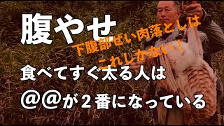 下腹部のぜい肉を落とす唯一の方法とは [upl. by Chita]