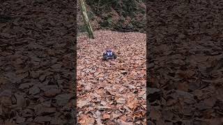 Axial Capra 4ws rc rock and water crawling [upl. by Nospmis]