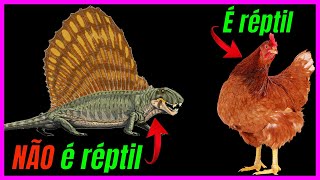 O que é um RÉPTIL Fósseis origens diversidade e evolução do grupo [upl. by Anavrin]