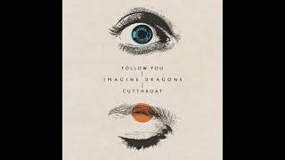 Imagine Dragons  Follow You Official Audio  FLAC 24bit  480kHz [upl. by Birk601]