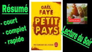 Résumé court et complet de Petit Pays Gaël Faye [upl. by Armalla955]