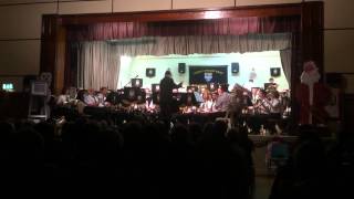 Finnegans Wake by the Ardee Concert Band [upl. by Nonnair]